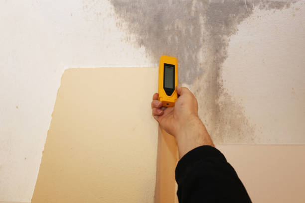 Best Real Estate Mold Inspection  in North Druid Hills, GA