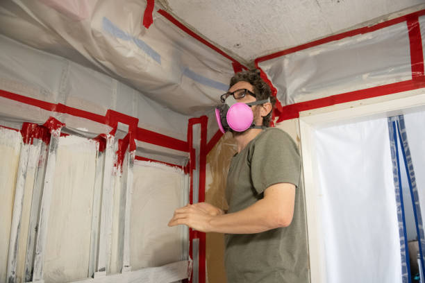Best Commercial Mold Inspection  in North Druid Hills, GA