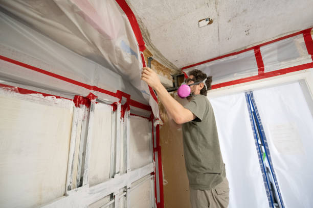 Best Water Damage & Mold Remediation  in North Druid Hills, GA