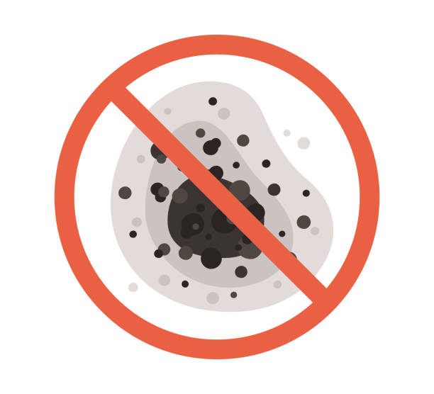 Best Mold Remediation for Healthcare Facilities  in North Druid Hills, GA