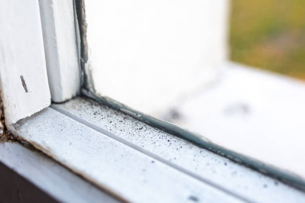 Best Mold Prevention Services  in North Druid Hills, GA