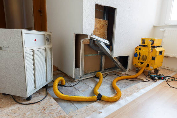 Best Forensic Mold Investigation  in North Druid Hills, GA
