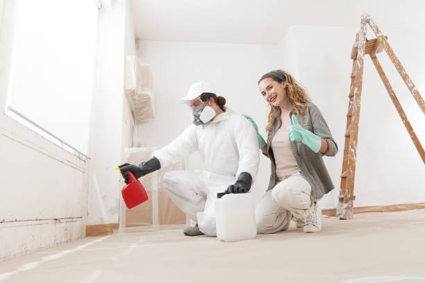 Best Attic Mold Removal  in North Druid Hills, GA