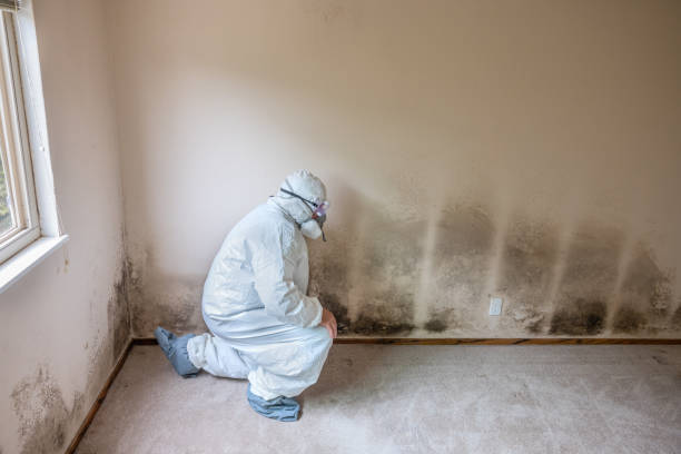 Best Biohazard Mold Removal  in North Druid Hills, GA