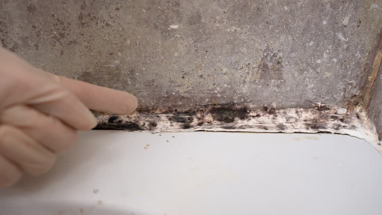 Best Dehumidification Services  in North Druid Hills, GA
